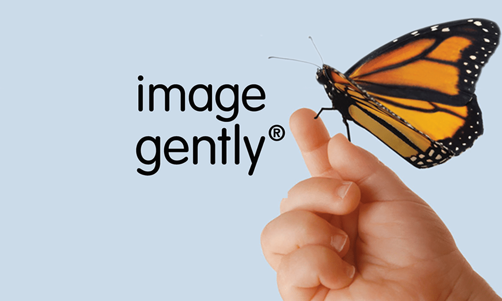 Método de la rejilla del logotipo de Image Gently